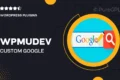 Wpmudev | Custom Google Search