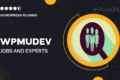 Wpmudev | Jobs and Experts