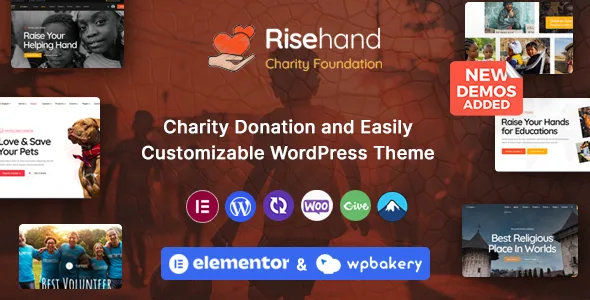 risehand charity donation wordpress theme 1