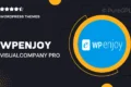 Wpenjoy | VisualCompany Pro