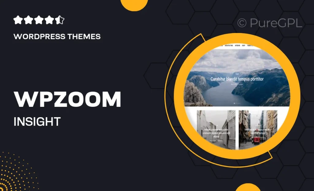 Wpzoom | Insight