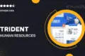 Trident – Human Resources & Recruitment Agency Elementor Template Kit