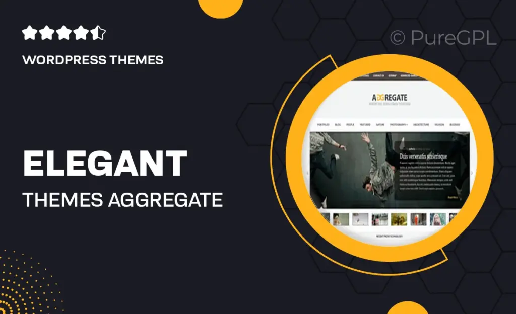 Elegant themes | Aggregate 5 Elegant themes | Aggregate