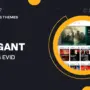Elegant themes | eVid