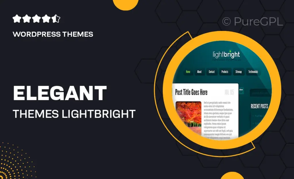 Elegant themes | LightBright 58 Elegant themes | LightBright