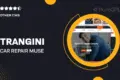 Trangini – Car Repair Muse Template