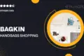 Bagkin – Handbags & Shopping Clothes Shopify Theme