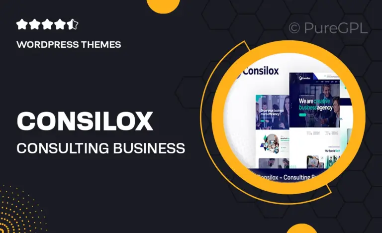 consilox consulting business wordpress theme