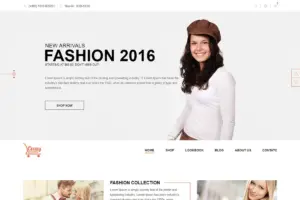 Crazy – Fashion Shopify Responsive Theme