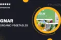 Gınar – Organic Vegetables Responsive Shopify 2.0 Theme