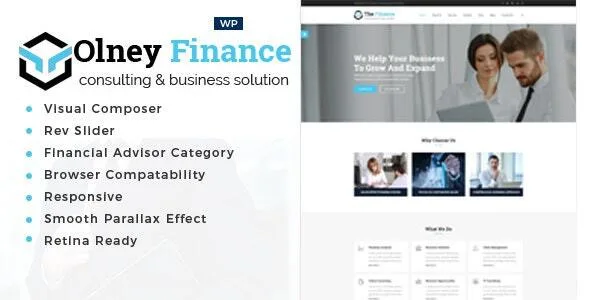 olney finance business consulting wordpress theme 1