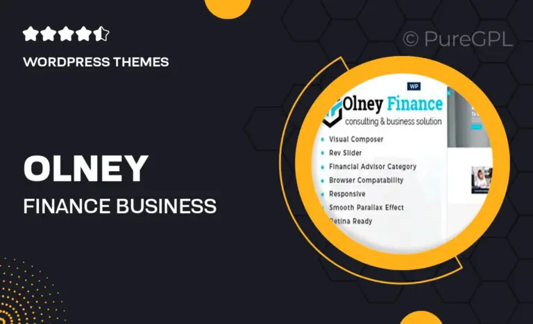 olney finance business consulting wordpress theme