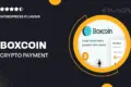 Boxcoin – Crypto Payment Plugin for WooCommerce