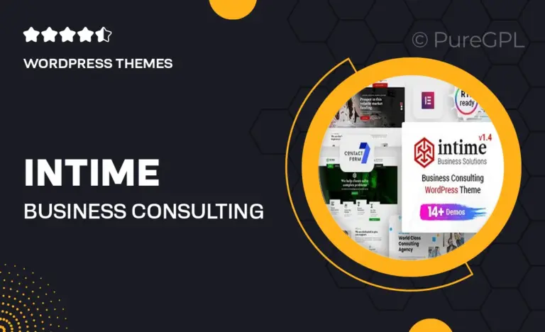 intime business consulting wordpress theme