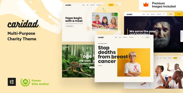 Themeforest | Caridad – Charity WordPress
