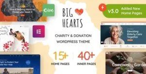 BigHearts – Charity & Donation WordPress Theme