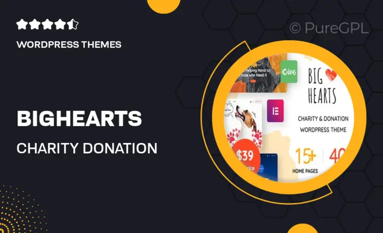 bighearts charity donation wordpress theme