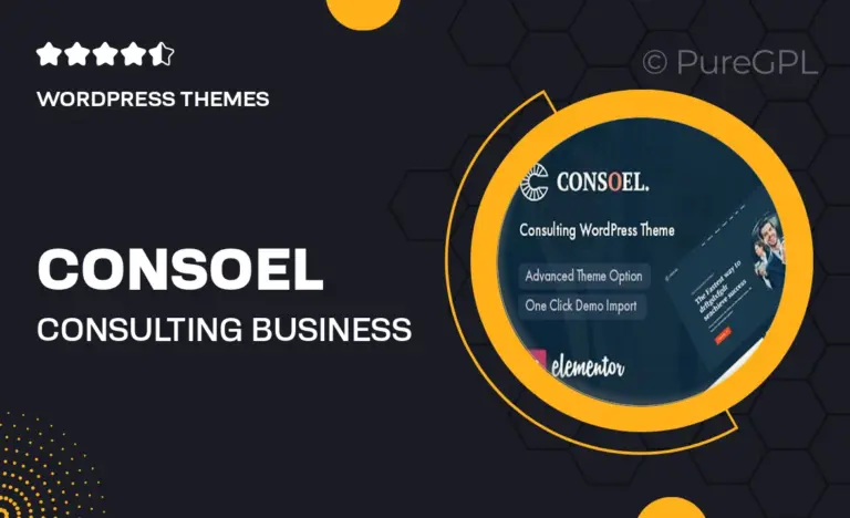 consoel consulting business wordpress theme