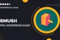 Smush Pro – WordPress Image Optimization Plugin