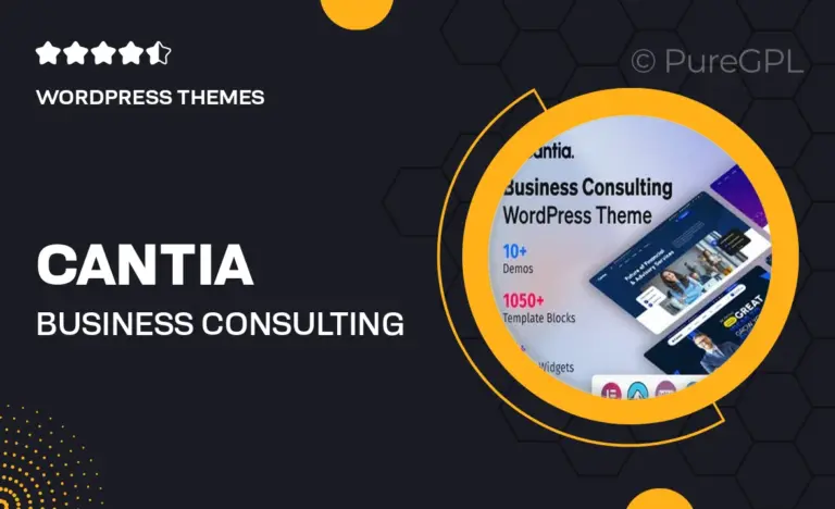 cantia business consulting wordpress theme