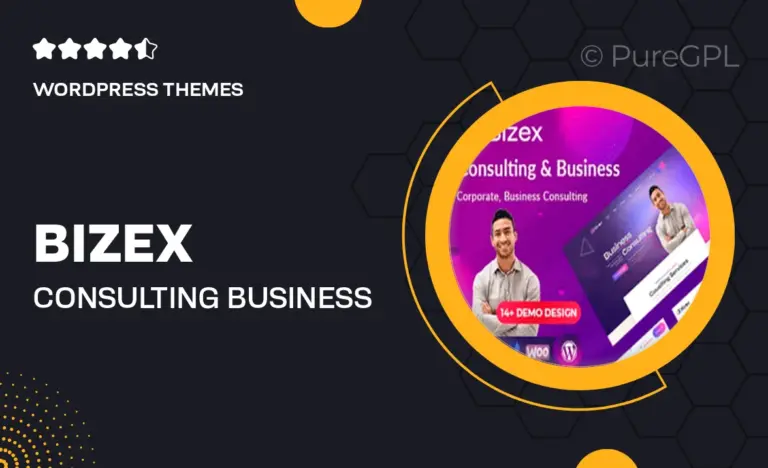 bizex consulting business wordpress theme