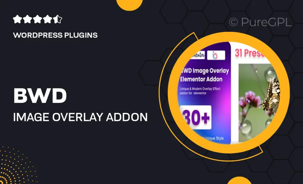 BWD Image Overlay Addon For Elementor 60 BWD Image Overlay Addon For Elementor