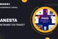Anesta – Intranet, Extranet, Community and BuddyPress WordPress Theme