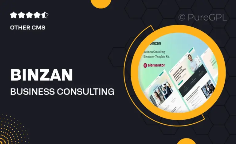 binzan business consulting elementor template