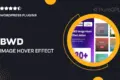 BWD Image Hover Effect Addon for Elementor
