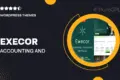 Execor – Accounting and Management Consulting WordPress Theme