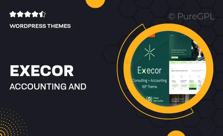 execor accounting and management consulting wordpress theme