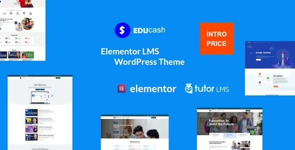 Themeforest | Educash WordPress LMS theme