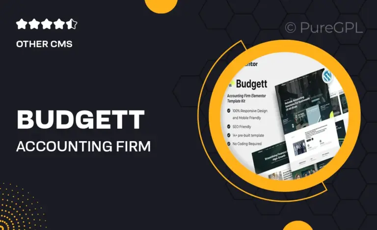budgett accounting firm elementor template kit