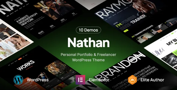 Nathan – Personal Resume CV Portfolio WordPress Theme