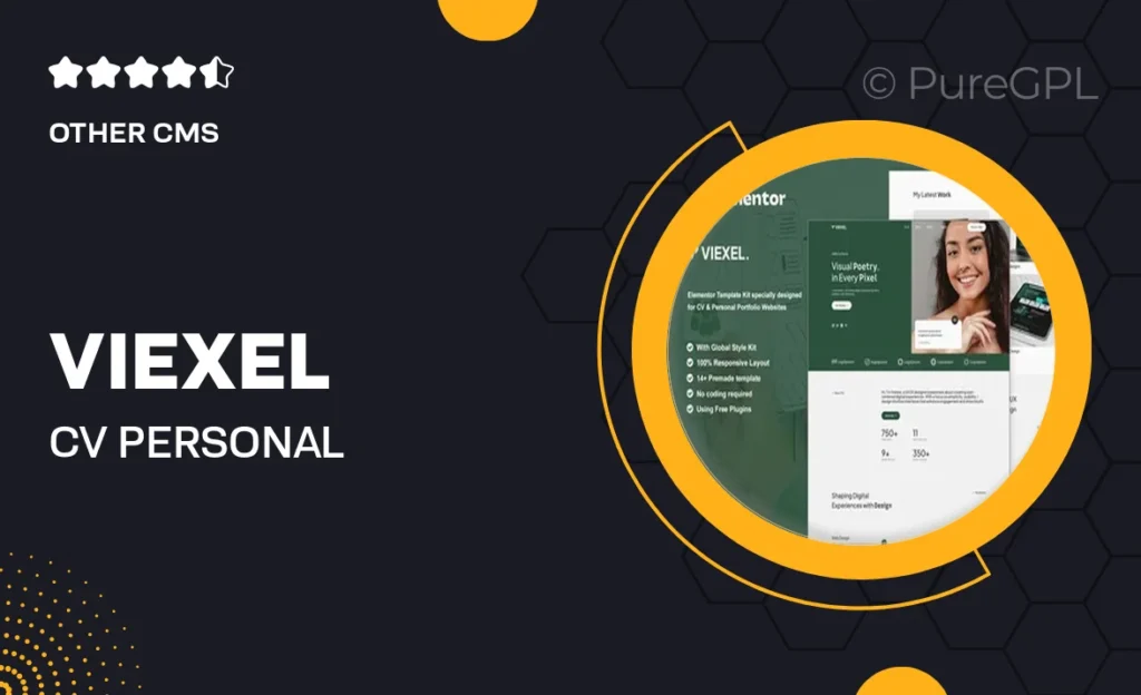 Viexel – CV & Personal Portfolio Elementor Template Kit 36 Viexel – CV & Personal Portfolio Elementor Template Kit