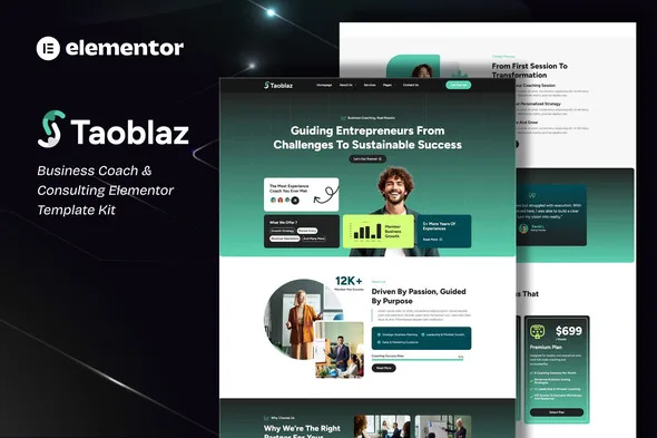 taoblaz business coach consulting elementor template kit 1