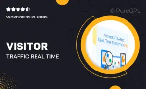 Visitor Traffic Real Time Statistics pro