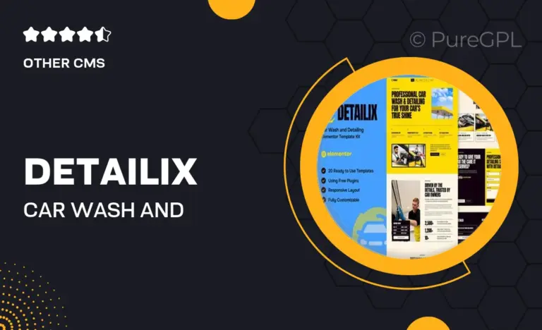 detailix car wash and detailing service elementor template kit