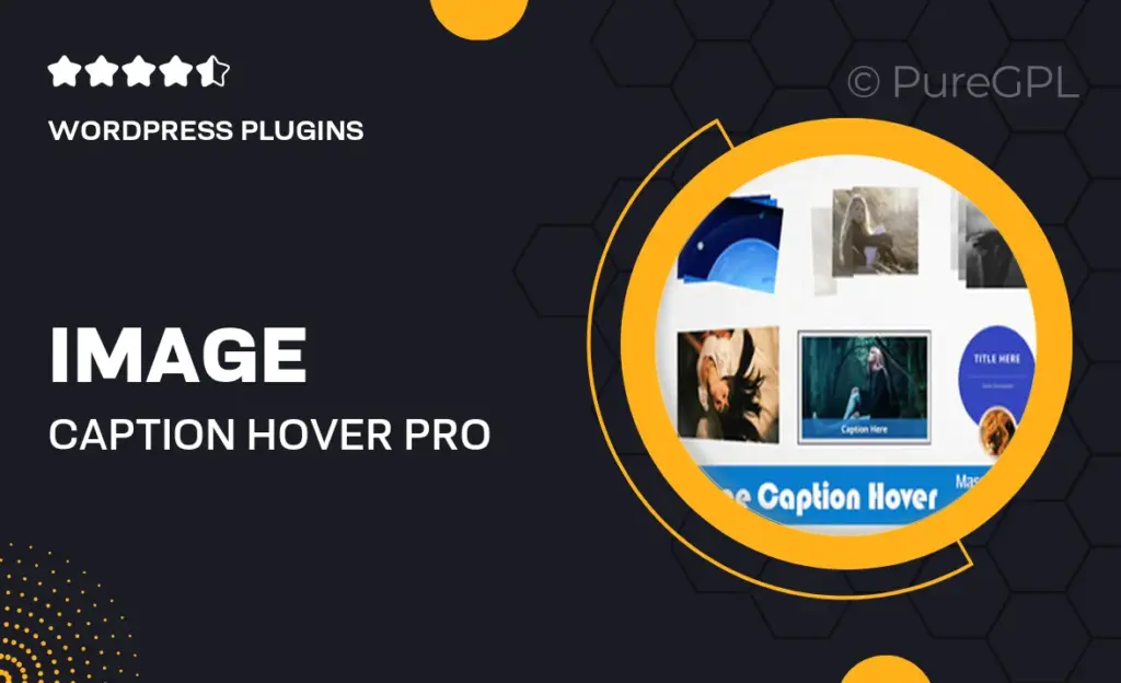 Image Caption Hover Pro WordPress Plugin