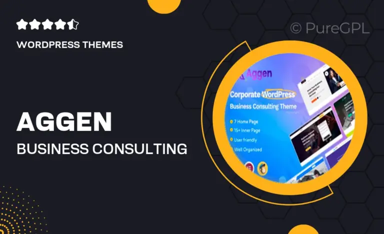 aggen business consulting theme