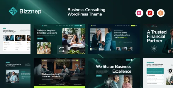bizznep business consulting wordpress theme 1