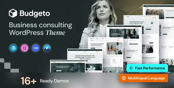budgeto business consulting wordpress theme 1
