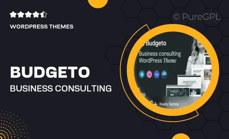 budgeto business consulting wordpress theme
