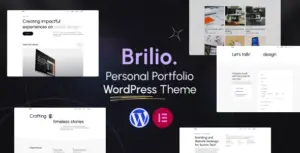 Personal Portfolio WordPress Theme – Brilio