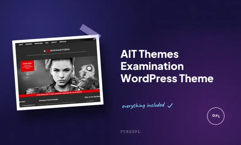 ait themes examination wordpress theme