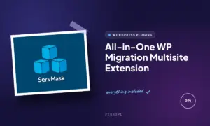 all in one wp migration multisite extension