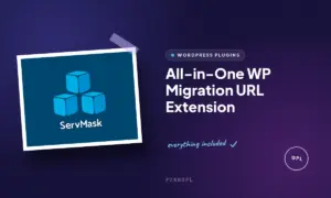 all in one wp migration url extension