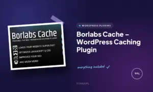 borlabs cache wordpress caching plugin
