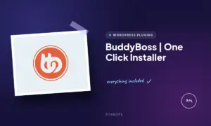 buddyboss one click installer