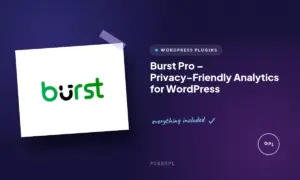 burst pro privacy friendly analytics for wordpress